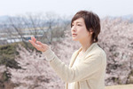 【1/29上映】「桜、ふたたびの加奈子」復活上映なるか!?＠お台場シネマメディアージュ