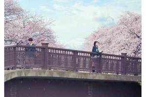 【東京都：10/25上映】「君の膵臓をたべたい」復活上映＠秋葉原UDXシアター