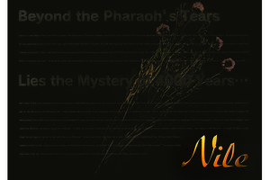 【2次受付：1000冊】「Nile　ナイル」パンフレット