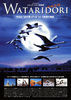 WATARIDORI