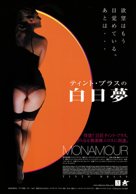 ティント・ブラスの白日夢