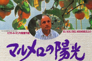 映画]マルメロの陽光を映画館で上映しよう！ | ドリパス