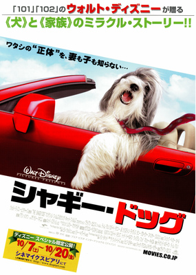 シャギー・ドッグ