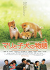 マリと子犬の物語