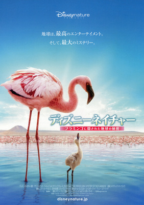 ディズニーネイチャー／フラミンゴに隠された地球の秘密