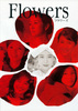 FLOWERS　フラワーズ