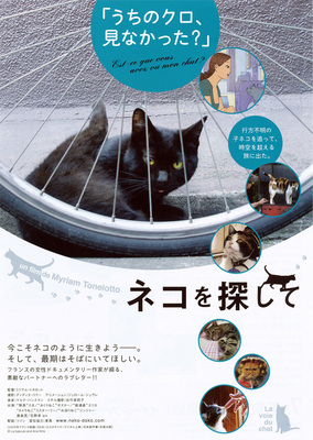 ネコを探して