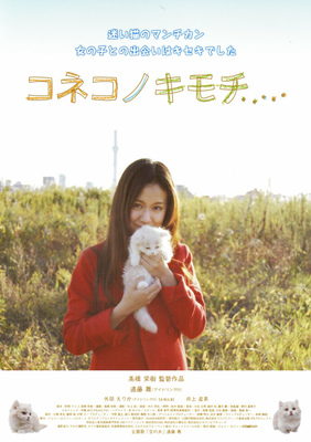 コネコノキモチ