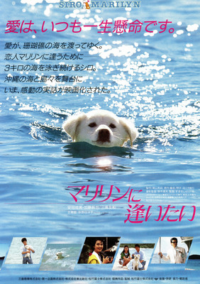 マリリンに逢いたい