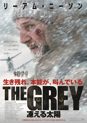 THE GREY　凍える太陽