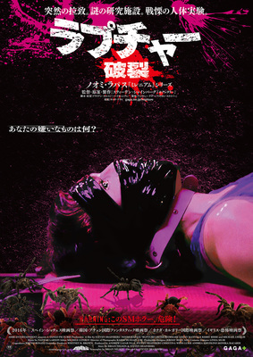 ラプチャー　破裂