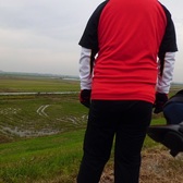 映画館で観るのが好きなのよ