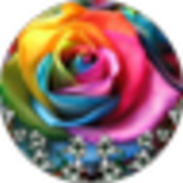 ஐユリஐ(ㆁ♡ㆁ✿)