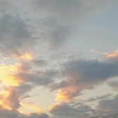 匿名