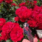 ななしのだれか