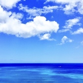 アライグマの妻まこと