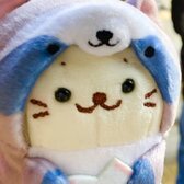 アライグマの妻