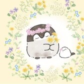 ひよこ