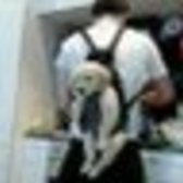 今年こそ、６年越しの嵐コン参戦したい！