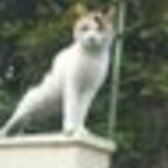 信 （のぶしん）