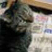 †┏┛MAYUKA┗┓†〜折i寺