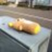 いいづかしんじ