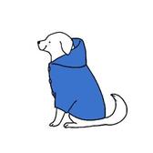 いかだべーすけ