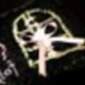 ᴮᴼᵂ /// ᵀᴼ /// Sᴾᴵᵀᴱ