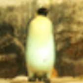 リョウ・スケダチ