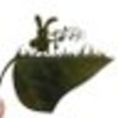 里樹。(りきまる)