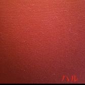 ひなすばにゃんこ