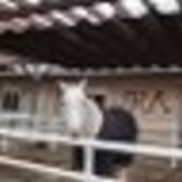 T̶.̶ ̶F̶l̶a̶n̶k̶