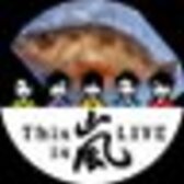 ナタデ@The Music Never Ends