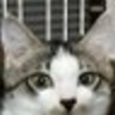 けい＠ほぼなんでも屋さん