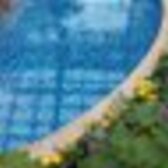 あいむどりーまー