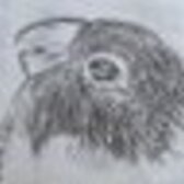 クルマサカbird