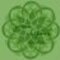 greenchipooh　chocolate