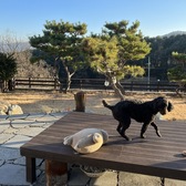 ミミ