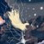 北見音ジウ(箱)