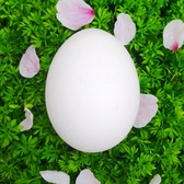 むぎちょこ